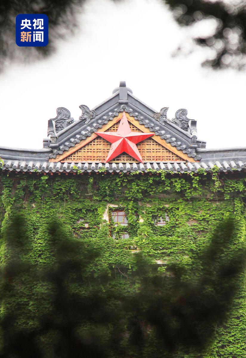 ttkzff's tweet photo. 南京大学鼓楼校区古木参天，标志性的北大楼矗立一百多年，爬山虎盘绕其上，让整幢建筑显得格外宁静、古朴和厚重。 https://t.co/Ec2xXpm6OD