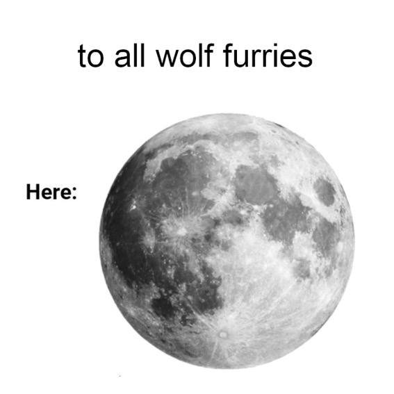 Miltop1G's tweet photo. How many wolf furry's will I get with this :3 https://t.co/CdHG93pzp9