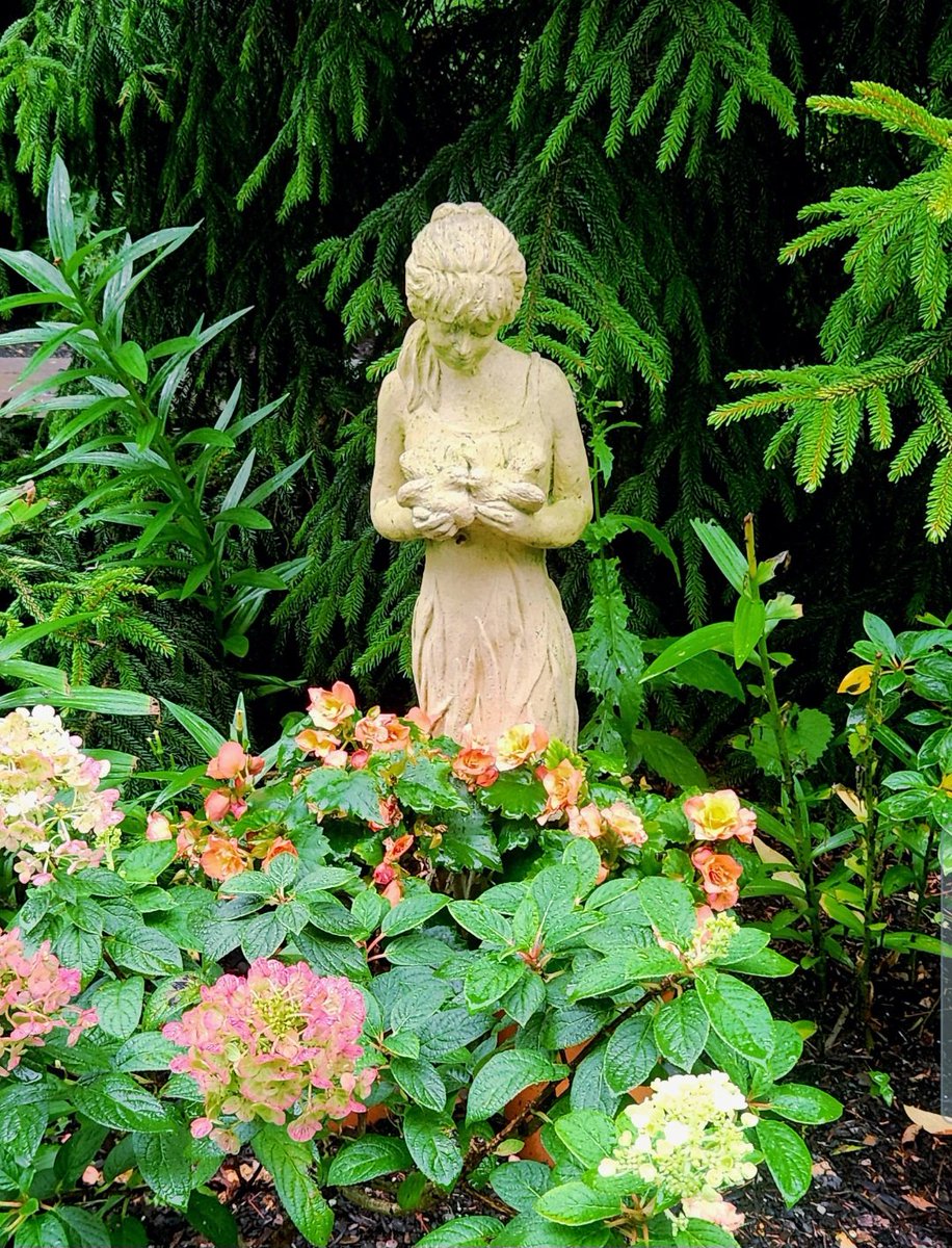 donna_mccance's tweet photo. Good morning friends. 🕊 Wishing you a #peaceful #Thursday as we keep our eyes on the #weekend! 👀

Sharing a lovely #garden pic from my walk around #ThePond. 🌸

#FridayEve #FridayJr https://t.co/9WOmnwqyA3