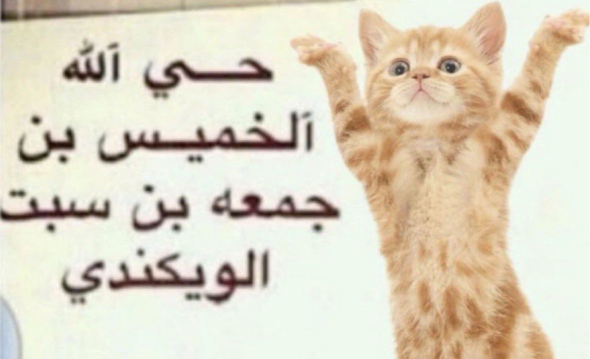 r1llp_'s tweet photo. اتعب اسبوع مر علي https://t.co/dlDjAFpEax