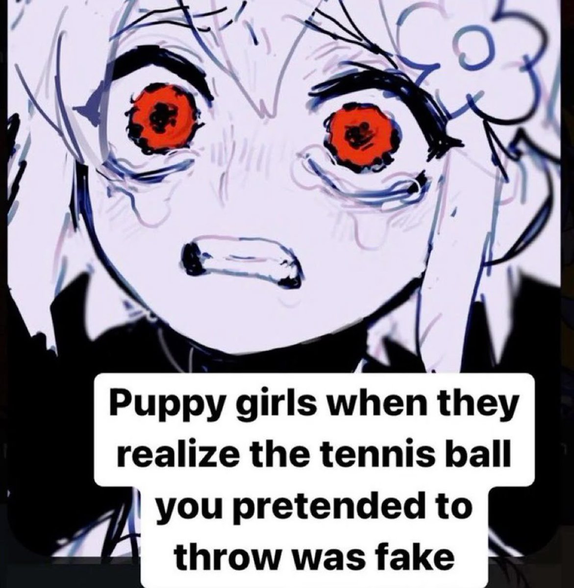 ouppyleni's tweet photo. fool me once shame on you fool me twice ALSO shame on you bc im just a puppy >:c https://t.co/wRAg930PHX
