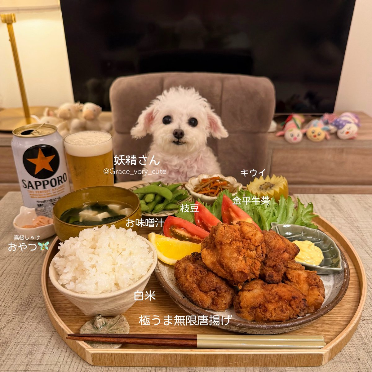 Grace_very_cute's tweet photo. 頑張った日は(犬と)唐揚げごはん🍗 https://t.co/RTUr4VQj27