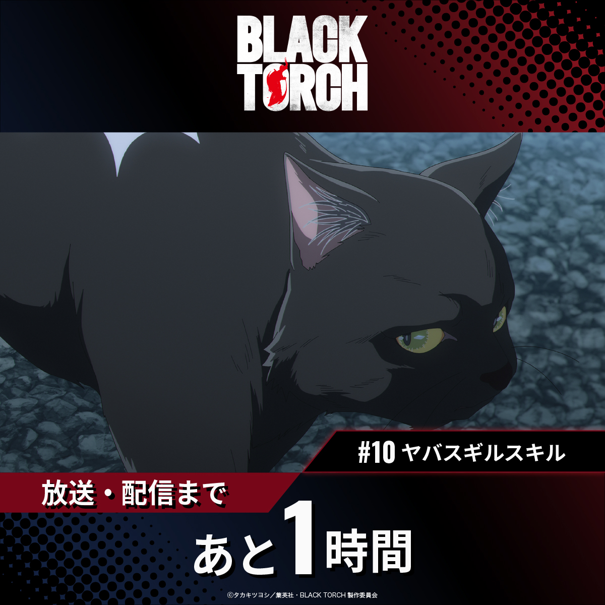 BlackTorchAnime's tweet photo. ◤◢◤◢◤◢◤◢◤◢◤◢◤◢
TVアニメ『BLACK TORCH』
#10「ヤバスギルスキル」
放送まであと1時間!!
◤◢◤◢◤◢◤◢◤◢◤◢◤◢
本日9月5日(土) 22:00から
TOKYO MX ほか各局にて順次放送!!
#BLACKTORCH https://t.co/sUGvUQJV3G