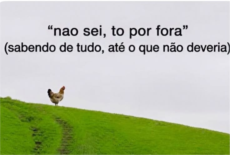 TerrorCotidiano's tweet photo. https://t.co/pdkKrMgnCi