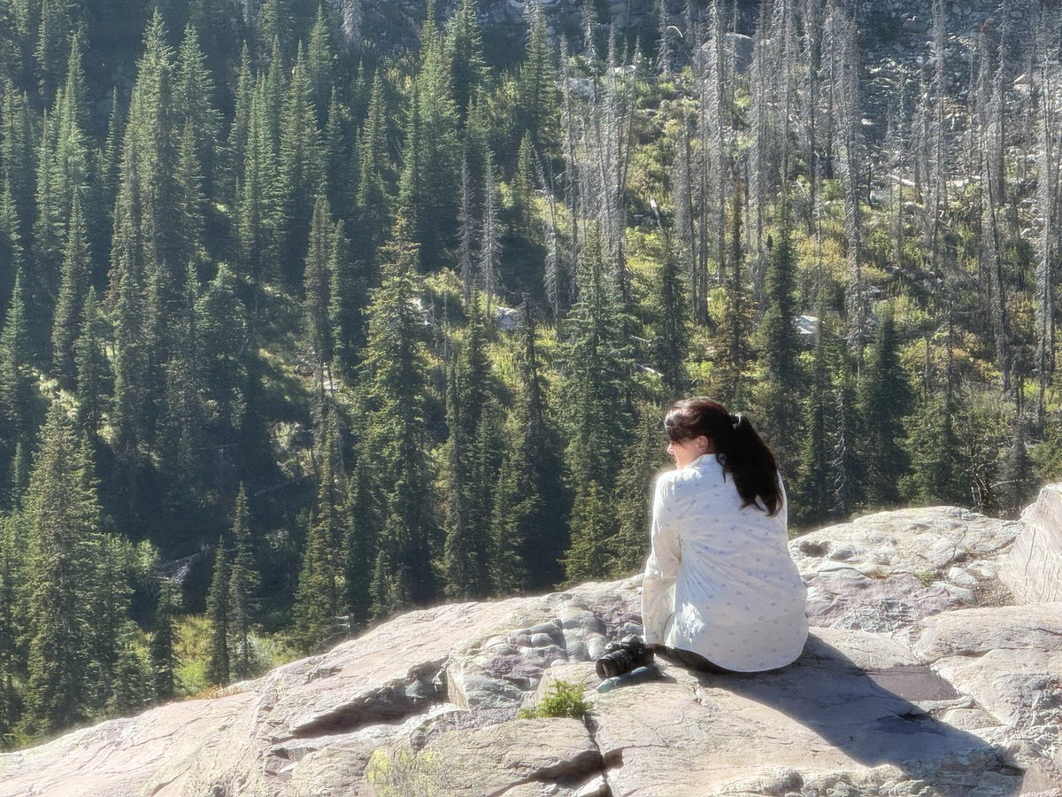 collodi's tweet photo. We did see multiple mountain goats at the Chalet. 

It was an epic day at these unforgettable destinations, well worth our efforts to reach them.

https://t.co/x1ukO64SHm

NP #27/63
NPS Site #189/433

#FindYourPark #KeepExploring #NationalParks #BrownSigns  #CollodiAdventures https://t.co/IZvBWxUGaR