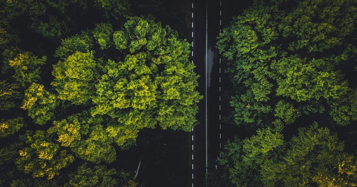 CustomEarth27's tweet photo. New Post: Why Every Brand Should Invest in Environmental Sustainability 
https://t.co/ZJsr9QiGDT https://t.co/ZOelxBncqu