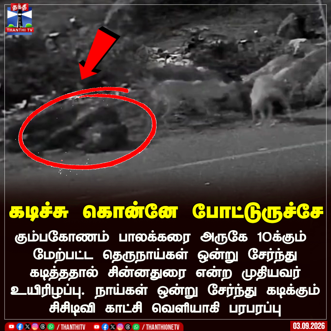 ThanthiTV's tweet photo. கடிச்சு கொன்னே போட்டுருச்சே

 கும்பகோணம் பாலக்கரை அருகே 10க்கும் 
மேற்பட்ட தெருநாய்கள் ஒன்று சேர்ந்து கடித்ததால் சின்னதுரை என்ற முதியவர் உயிரிழப்பு. நாய்கள் ஒன்று சேர்ந்து கடிக்கும் சிசிடிவி காட்சி வெளியாகி பரபரப்பு

#kumbakonam #dog #thanthitv https://t.co/LOKr2oUBkX