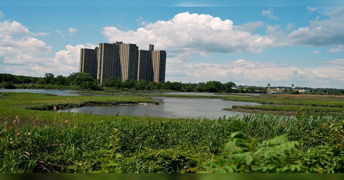 CustomEarth27's tweet photo. New Post: How Native Plants Can Improve Urban Ecosystems 
https://t.co/GbREdlxblU https://t.co/izLLVDBk38