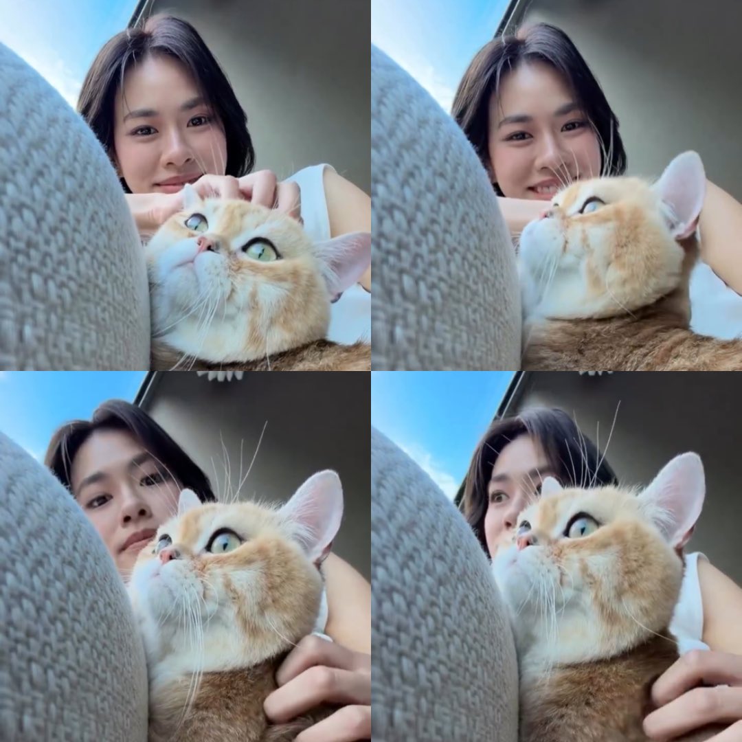bellochiffon's tweet photo. ขี้โกงอะ สายตาเป็นคนใจดี อบอุ่น ขนาดนี้ได้ไงอะ🥺 https://t.co/ZIrkY1fQwJ