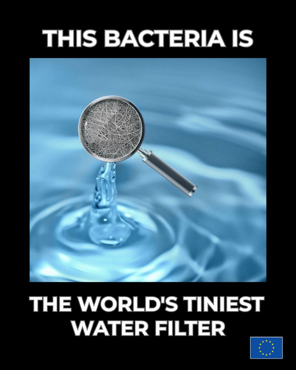 EU_ENV's tweet photo. 💧 Only 37% of Europe's surface waters are healthy.

🧫 But bacterial cellulose could help to clean up our waters by removing:
🟢 90–98% of forever chemicals 
🟢 90–95% of endocrine-disrupting chemicals 
🟢 80–90% of nanoplastics 

Learn more 👉 https://t.co/d1qFPsQE35 https://t.co/aQq1TzRGWq