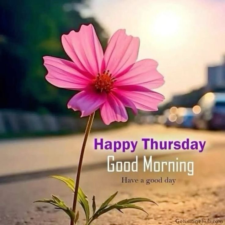 Ms_Mocha_Bella's tweet photo. #thursdaymotivation  #thursdaymood #thursdayvibes #happythursday #throwbackthursday #blessed #blessedthursday #thursdayblessings #blessed #goodmorning #goodmorningworld #goodmorningtwitterworld #goodmorningx #september3rd #september2026 https://t.co/LV8RZsdJBN