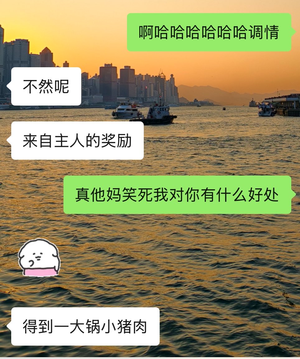 PuppyDiu's tweet photo. 有时候感觉主人像🦊 也像🐱
我这样夸他，给他这么可爱的动物塑
他给我的回报⬇️说我是小猪🔪
#m https://t.co/zZ7R0zEwBK