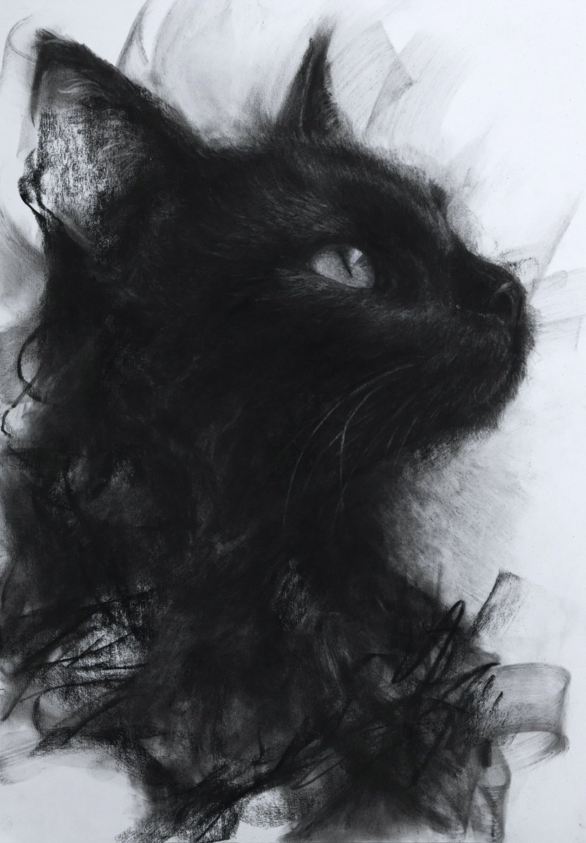 ryosuke_art5's tweet photo. 木炭で描いた黒猫たち。 https://t.co/9DQRCYtGm0