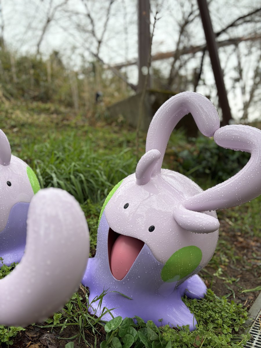 Nichirintous_2's tweet photo. そろそろもう一回行きたい🫶

#ポケパーク
#ポケ活 https://t.co/Sbrr0ena2y