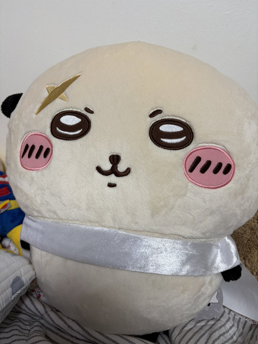 myomyo914's tweet photo. 대형랏코 왔어요ㅜㅜ 너무귀여움 끌어안고자야지 https://t.co/4QZaKunSq7