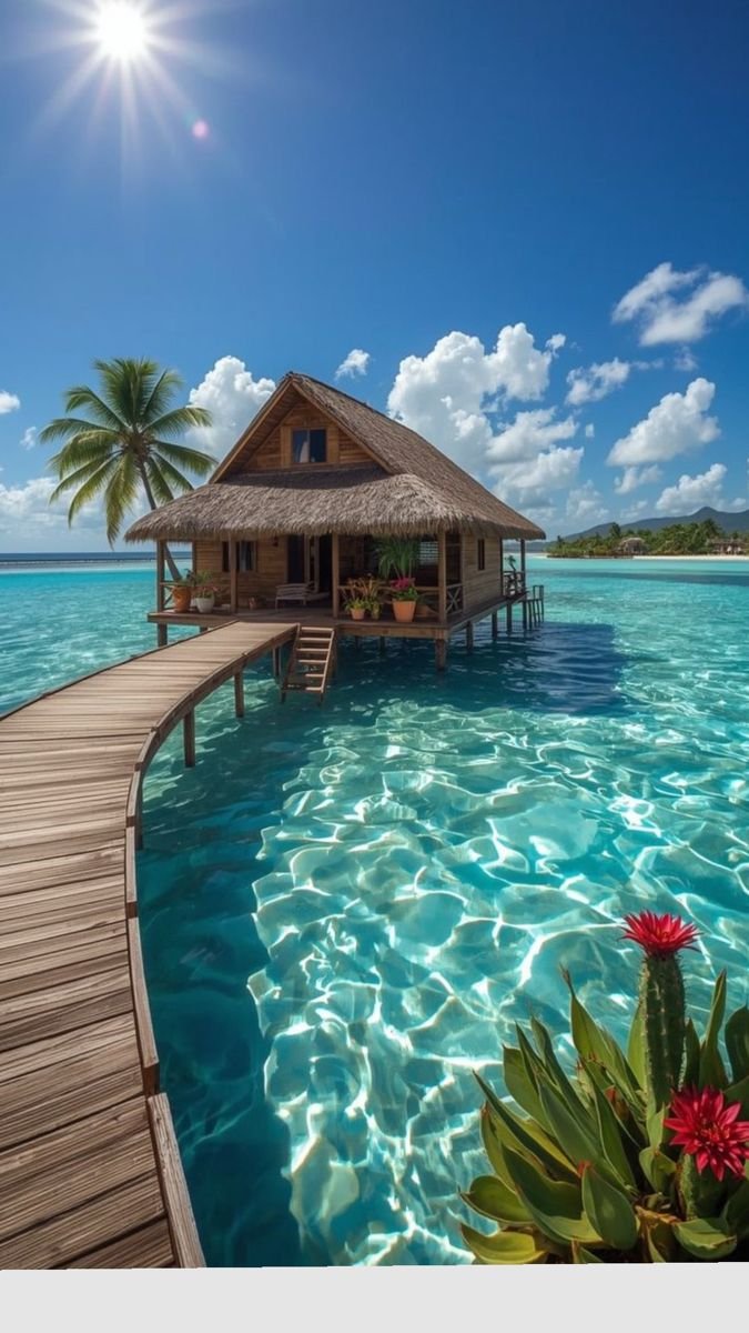TravelBucketX's tweet photo. Maldives 💦🇲🇻 https://t.co/Kz22O93urc