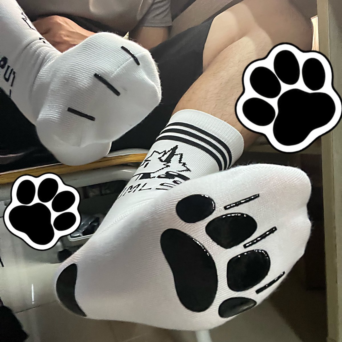 EvanLinks0's tweet photo. https://t.co/zasKds7pyG