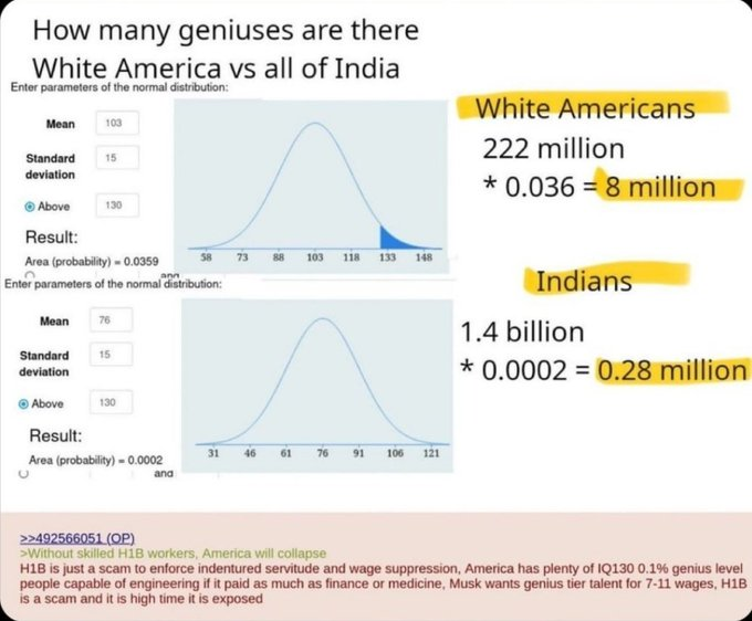 1776General_'s tweet photo. There are 28.5 times more White Americans with a 130 IQ than in all of India   

There are only 222 million White Americans and 8 million of them are over 130 IQ  

India has over 1.4 billion people and only 280k people over 130 IQ  

America doesn't need H1B invaders. https://t.co/p9NVs10ACs