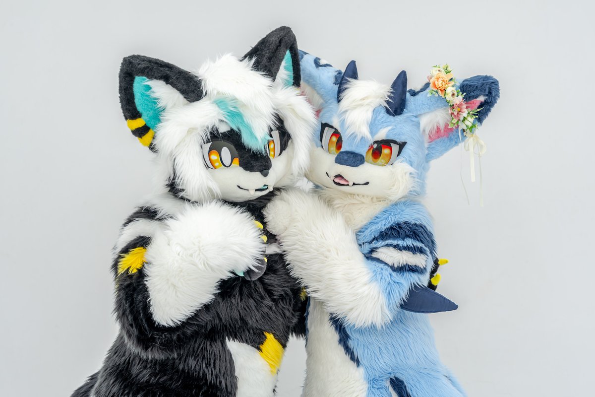 niiro_sharo's tweet photo. ねあさんだいすき！

#FursuitFriday
#ケモノフォーカス https://t.co/OpTF8mRbIs