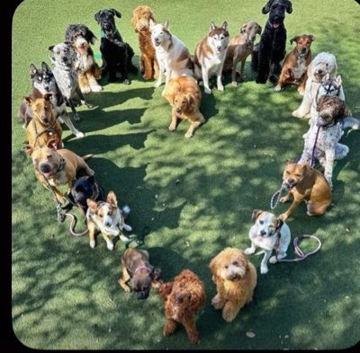 LoganBanksb3et's tweet photo. #NewProfilePic https://t.co/i8K483mUWU