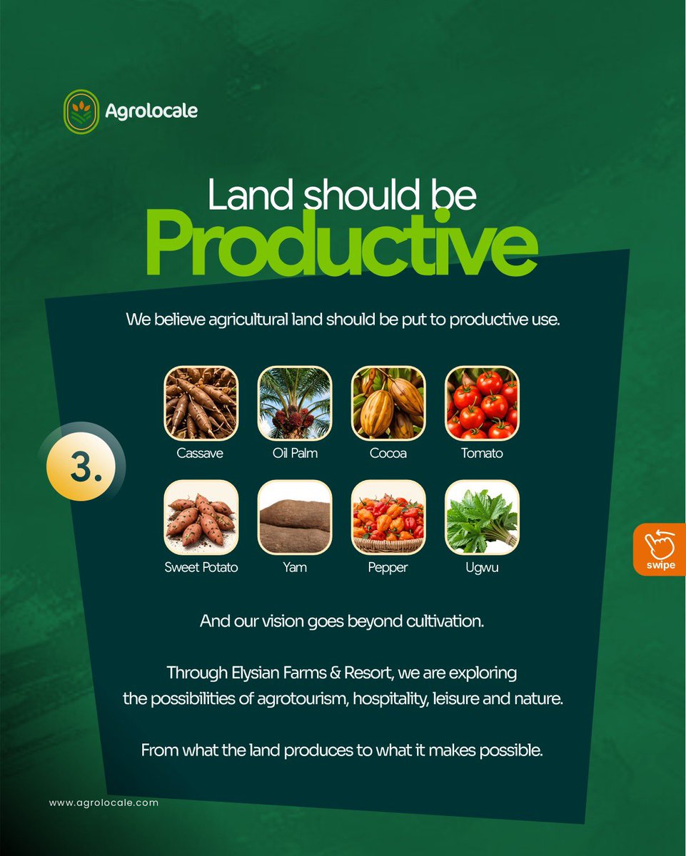agrolocale's tweet photo. WHY AGROLOCALE EXIST?

#LaCasaDeLosFamososMéxicoMx #ultratwitteragf #sanchezdimisión #مرد_آہن_فیلڈ_مارشل https://t.co/vpgvkdNEMw