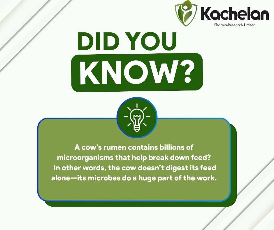 kprl_ltd's tweet photo. Did You Know? https://t.co/SNYu7SI8mf