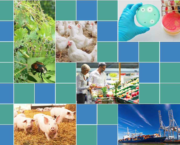 seimedcv's tweet photo. 🇪🇺 España será auditada por la @EU_Commission en 2027 en ámbitos como la #avicultura, los productos pesqueros transformados, los #envases alimentarios de plástico reciclado, los #fitosanitarios y los controles a la #importación.
🔗https://t.co/1EsBUBtlqs
#EENCanHelp https://t.co/1dyWn2XfFw