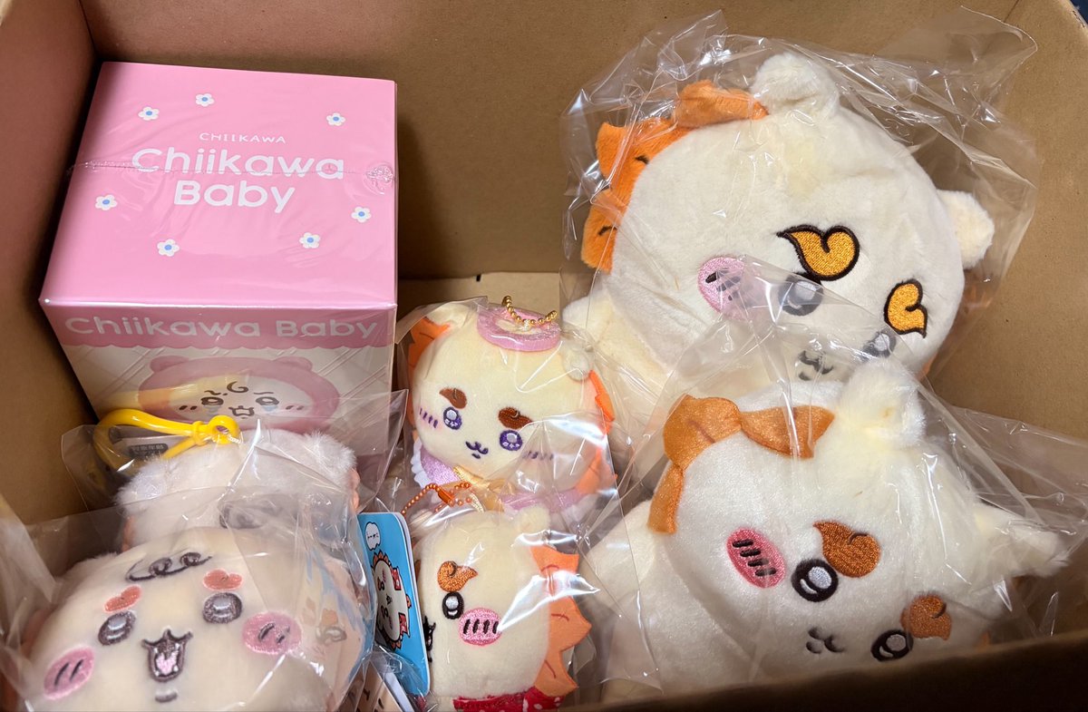 ri___tyandayo's tweet photo. 頼んでたやつが届いたの！！！✨
シーサーちゃんたくさんで嬉しい！！
念願のシーサーちゃんねん！
これでソロ活も捗るなぁ💭
連れていけるシーサーちゃんが増えたねん✨
嬉しねん！！☺️ https://t.co/OGhNzF3t8S