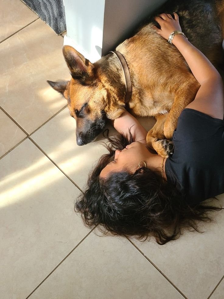 dainapameljrjq's tweet photo. my dog knows all my secrets but still choose to stay with me 💖💝💝
https://t.co/o3Z5ZRHjUa
join now... https://t.co/fAI9ZAUtCY