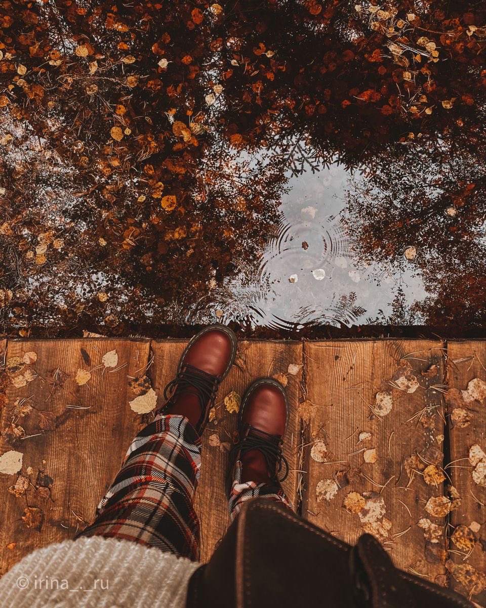 thespookygirll's tweet photo. crisp fall mornings are on the way 🌧️🍁 https://t.co/WzRinvrUEH