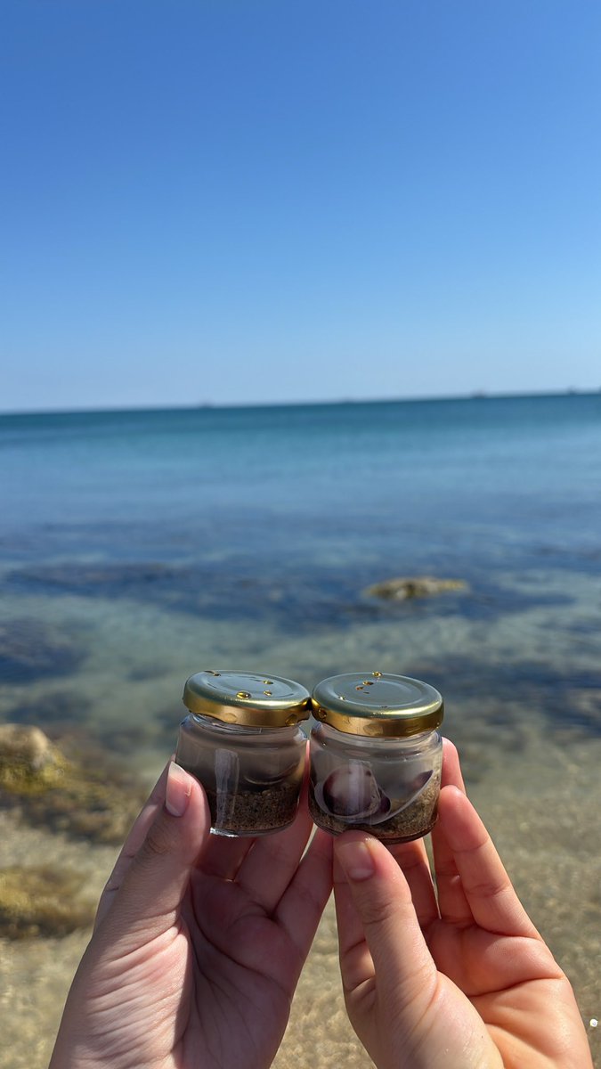 sulearkmrt's tweet photo. Mavi her zaman iyi gelmiştir.🌊🐚 https://t.co/fDaMswleSP