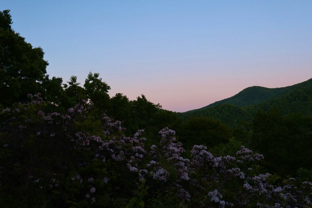 JennyLetsovlej's tweet photo. I low-key forgot I had this account. My bad. Great Smoky Mountains National Park https://t.co/XiMlG2n8Ck