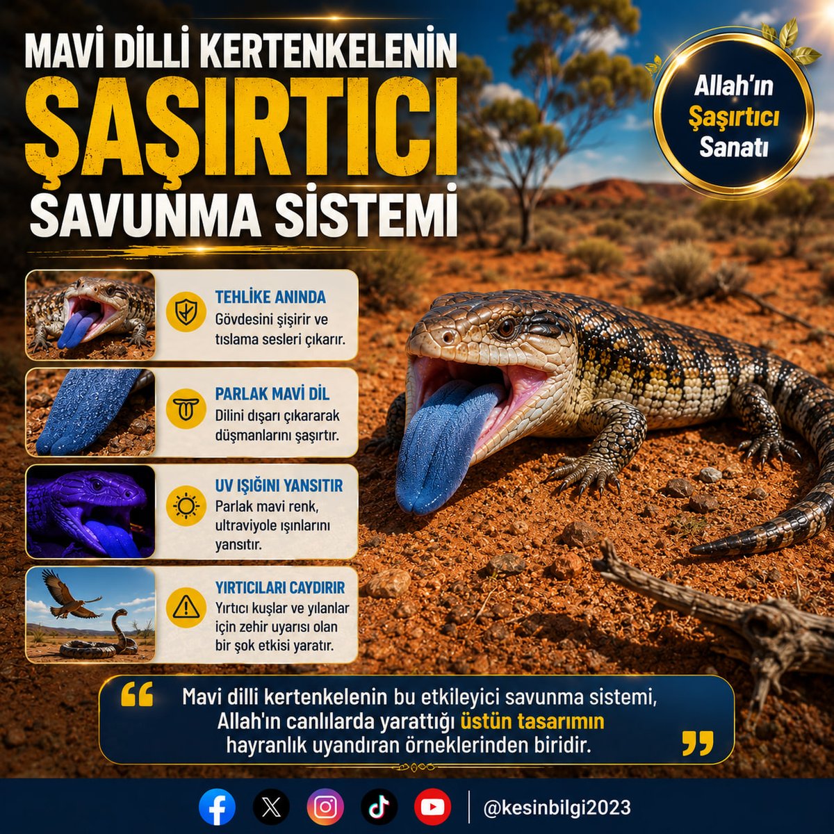 kesinbilgi2023's tweet photo. Avustralya Çöllerindeki Savunma Mucizesi: Mavi Dilli Kertenkele

Doğadaki canlılar, kendilerini düşmanlarından koruyabilmek için son derece şaşırtıcı ve kusursuz savunma mekanizmalarıyla donatılmışlardır. Avustralya kıtasının kurak topraklarında yaşayan Mavi Dilli Kertenkele, Allah'ın benzersiz yaratışının en net örneklerindendir.

Bu canlı, tehlikeli bir avcıyla karşılaştığında kaçmak yerine gövdesini hava ile doldurarak şişirir ve tıslama sesleri çıkarır. Tam bu esnada ağzını sonuna kadar açarak, pembe ağız dokusunun tam ortasından parlak mavi renkteki dilini dışarı doğru uzatır. Ultraviyole ışınları yansıtan bu parlak mavi renk, yırtıcı kuşlar ve yılanlar için ani bir şok etkisi ve ölümcül bir zehir uyarısı anlamına gelir. Bilinçsiz bir sürüngenin, düşmanlarının hangi renkten korkacağını kendi kendine akıl etmesi ve diline bu özel kimyasal rengi vermesi kesinlikle imkansızdır.

Hiçbir tesadüfün açıklayamayacağı bu etkileyici kamuflaj ve caydırıcılık sistemi, Yüce Rabbimiz'in benzersiz yaratma sanatının bir örneğidir.