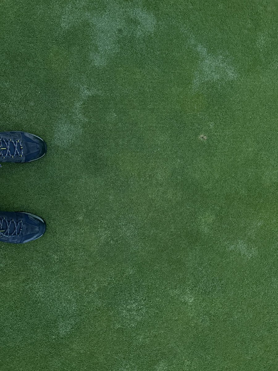 NGCAgronomy1896's tweet photo. .6” of liquid gold overnight and into the morning. Greens mow this morning and maybe a roll after the rain completely stops. 9 days post aeration and I’d say we’re 95% healed up. Labor Day weekend is almost upon us, we’re setting up for a great Fall golf season. https://t.co/NgE6mMu7WN