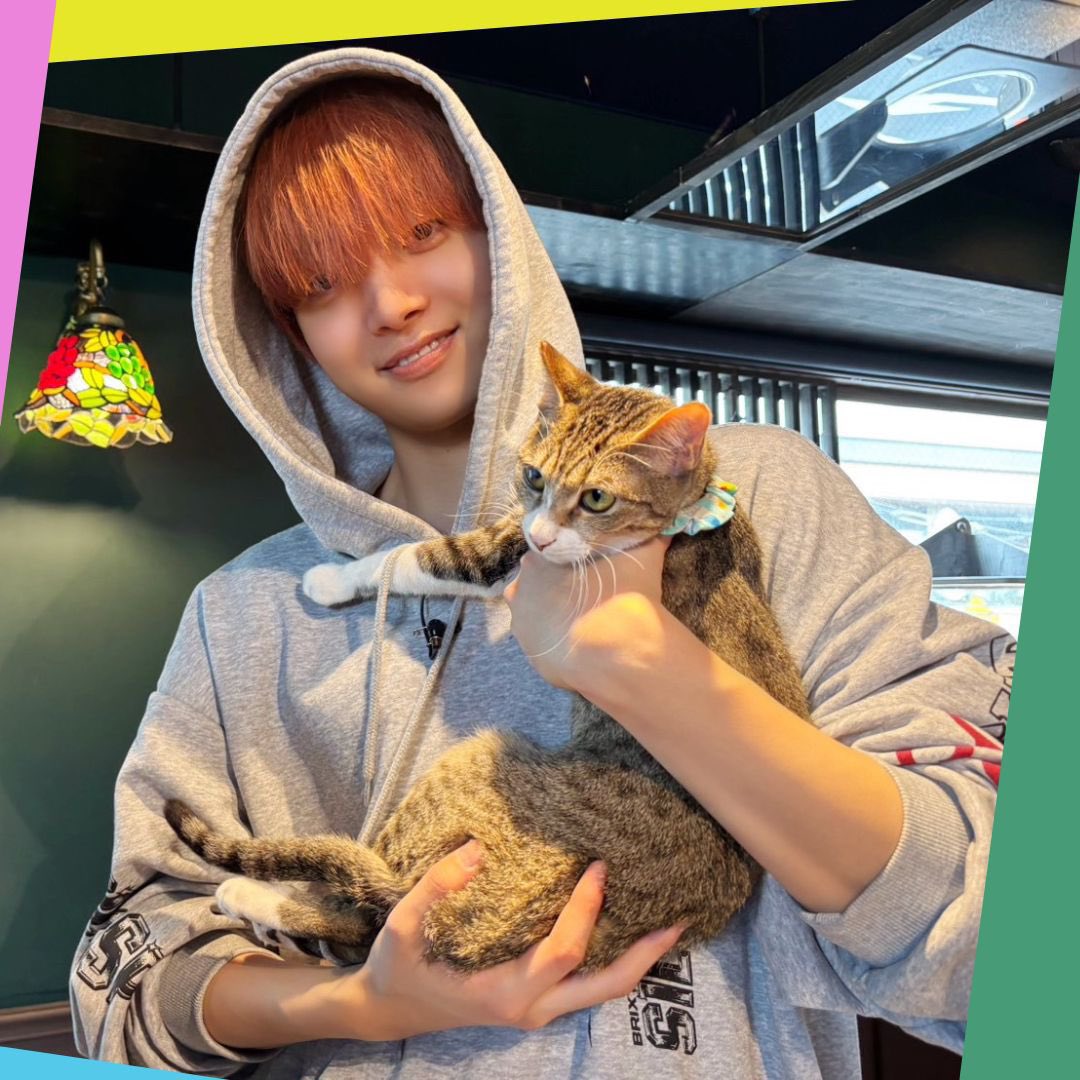 euijjooo's tweet photo. euijoo being a cat lover is so important to me https://t.co/YRVyBaRbq9
