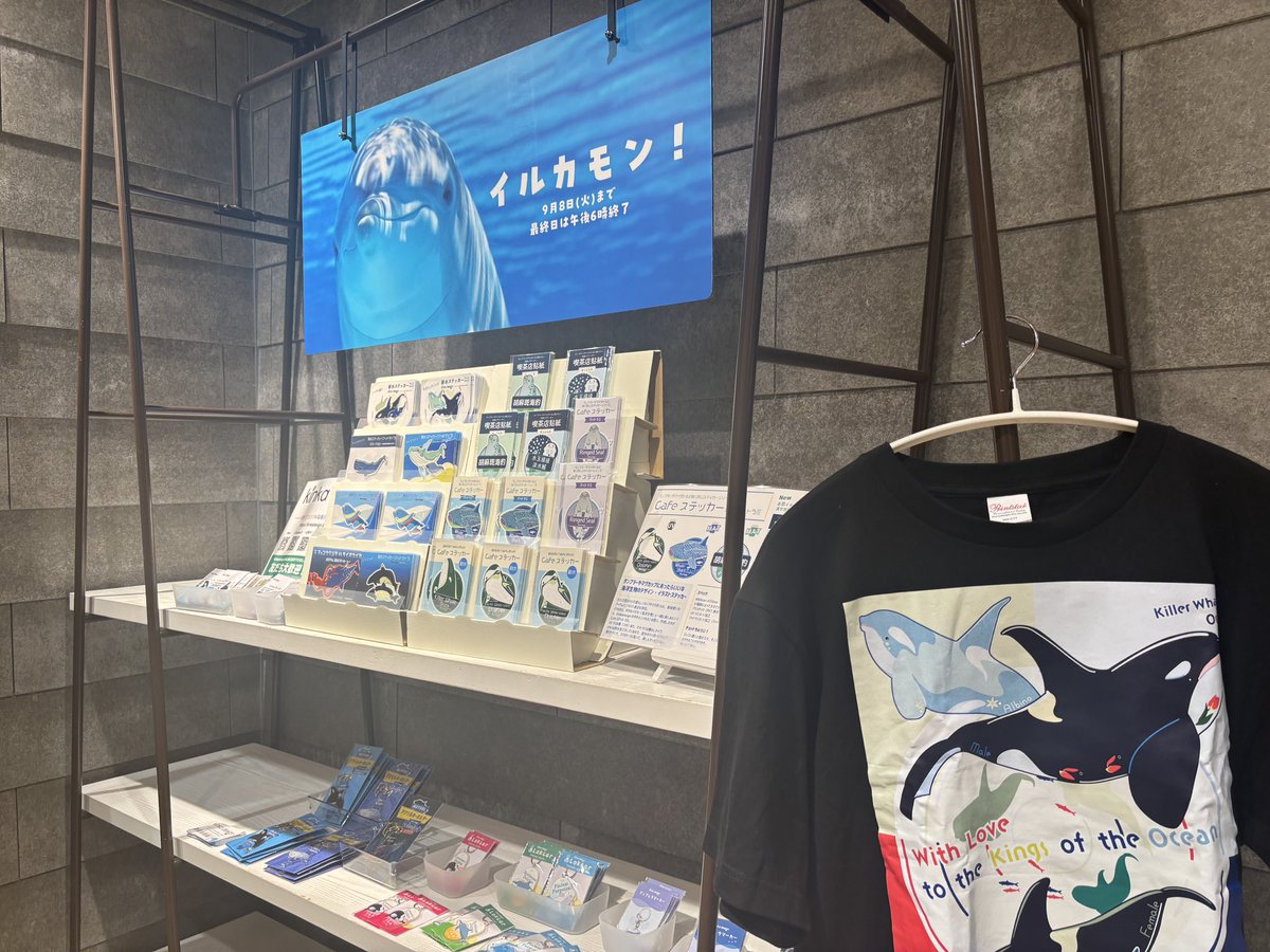 iruka2026's tweet photo. 本日2日目終了いたしました。

ありがとうございました！
明日もお待ちしております🦭🐬

#アザラシフェス
#イルカモン https://t.co/oUfz7sPm9W