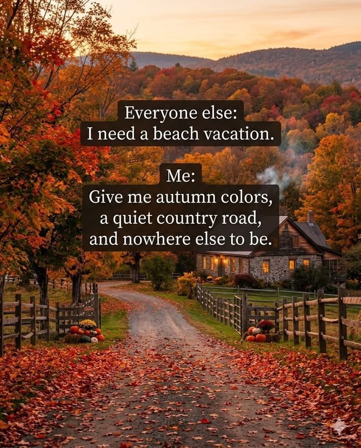 cabinsmountain's tweet photo. https://t.co/8eqduHxqJW