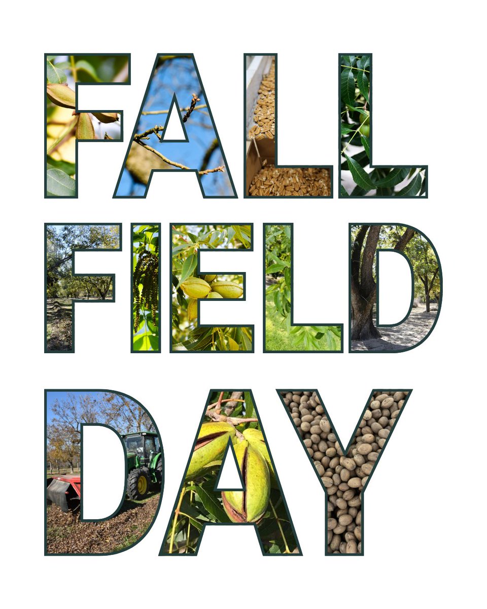 GPGA_'s tweet photo. Todays the day!

We are so excited to get this Fall Field Day started!

Registration will open at 8:15AM and the program will being at 9AM!

#GPGA #GeorgiaGrownPecans https://t.co/uMaLJ54tDG
