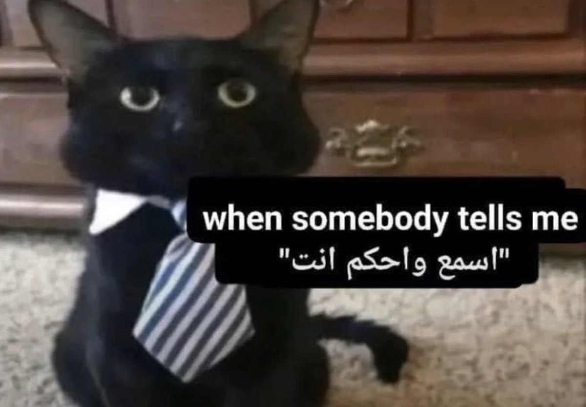 li11lll's tweet photo. تشبهني والله😭 https://t.co/6SGm763X0E