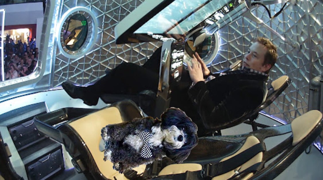 KagarinoFam's tweet photo. @flapdotsh We love you Flap! 🦋 Thanks for giving $MARVIN and our global community the perfect home on BNB Chain! Next stop: Mars! 🚀🐶

0xc6bff31bbfa84d3c05ad61d8ec47be8b31517777

#Marvin $Marvin  #Crypto https://t.co/JPZvC2fFsf