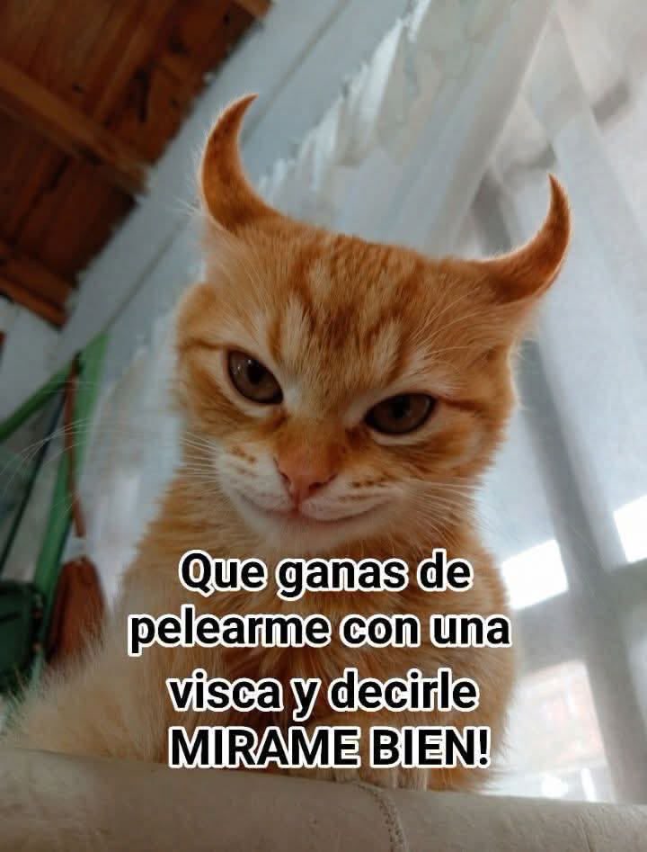 R_Millan_A's tweet photo. https://t.co/YkkaKmYlDE
