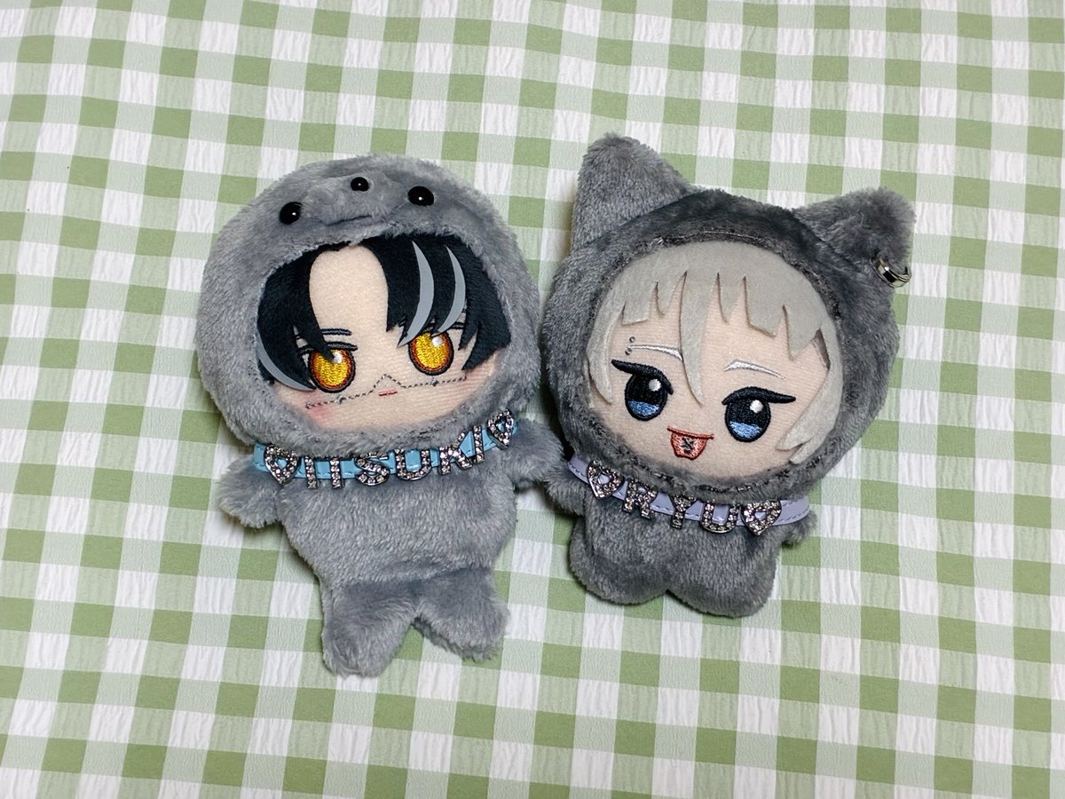 441d0r1's tweet photo. みんな、我が家のぬいちゃん見て欲しい♩ https://t.co/dmPAzQ9bib