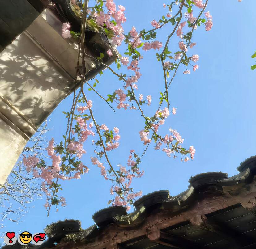Arda11997021's tweet photo. 🎉呻吟😋磕炮❤️丝袜💖恋母😍每日大赛💝大胸👏群p😃约炮🙌drip蜡女s🌟幼女💯女陪😍女S❤️女大学生😁裸舞🍀偷拍😁每日大赛😄后入👏母狗👍成人🥰女性向

企鹅裙：1818089
飞机：zuoyi1v1
裸聊/连麦/文爱/调教/寸止 https://t.co/Lvp4vUdMzF