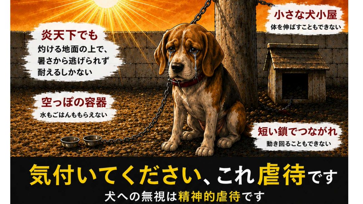 sarandayo's tweet photo. 【拡散希望】
犬は、暑さや寒さから自分で
逃げることができません。

「外で飼っているだけ」？
炎天下や雷雨、雪の日に逃げ場がなければ、
犬はただ耐えるしかありません。

犬は家族です。
どうか、この現実を知って救ってほしい。
これも虐待です！

@rein_mizusawa #旺旺
#justiceforwangwang https://t.co/mZLL36px0X