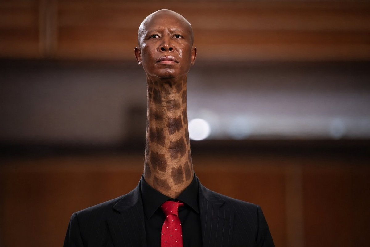 MaxNomaNini's tweet photo. No More Giraffe View for this one https://t.co/5ReoAGm6et