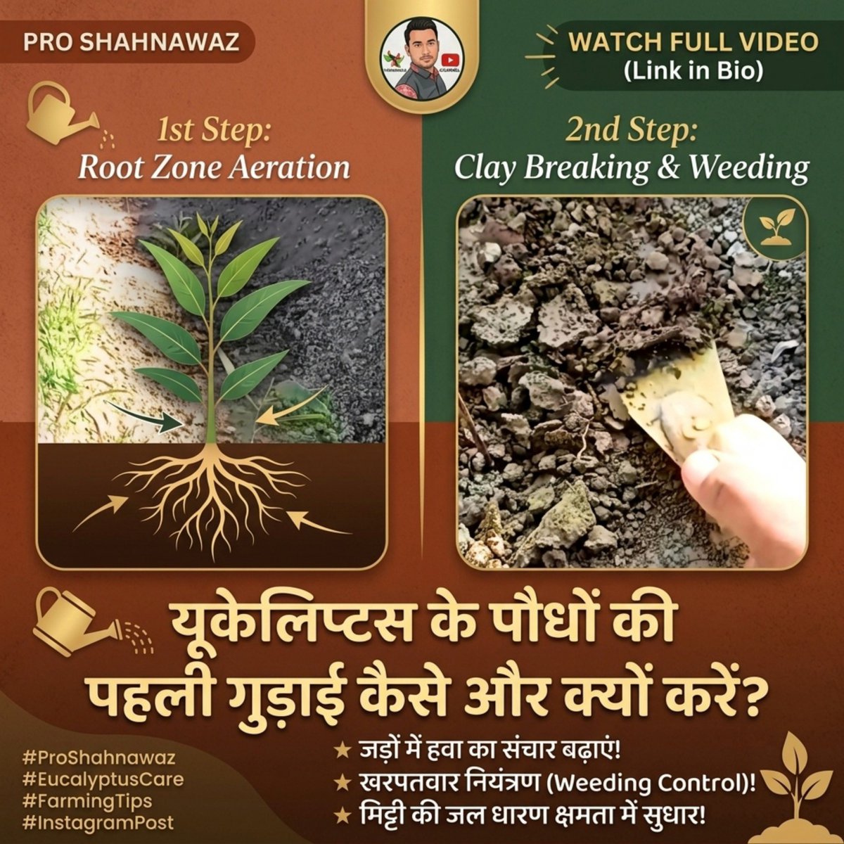 proshahnawaz's tweet photo. Doston new video link 👇
https://t.co/AoNup2UNaH

यूकेलिप्टस के पौधों की पहली गुड़ाई कैसे करें | safeda ke paudhe ki dekhbhal | safeda ki kheti tips

#ProShahnawaz #EucalyptusFarming #EucalyptusCare #SafedaKiKheti #NiraiGudai #FarmingTips #AgricultureIndia #PlantCare https://t.co/gPfecbm671