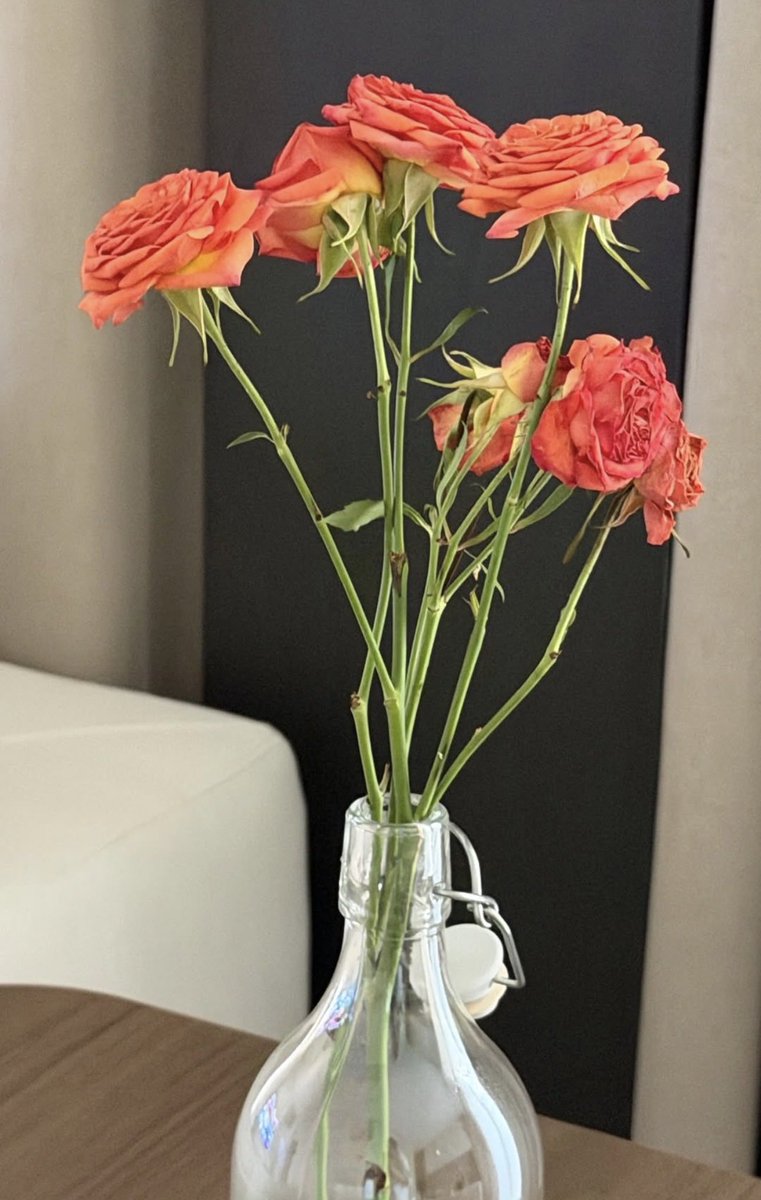 Swee_fkt's tweet photo. Valentine’s Day                       28th Birthday 

//looks like First really loves orange flowers😭🤏
He finally got a flower vase🤭
FIRST 28TH SPECIAL DAY
#28thHappyFirstDay
#Firstkanaphan #กองทัพของเฟิร์ส https://t.co/7TjYGZbZ3s