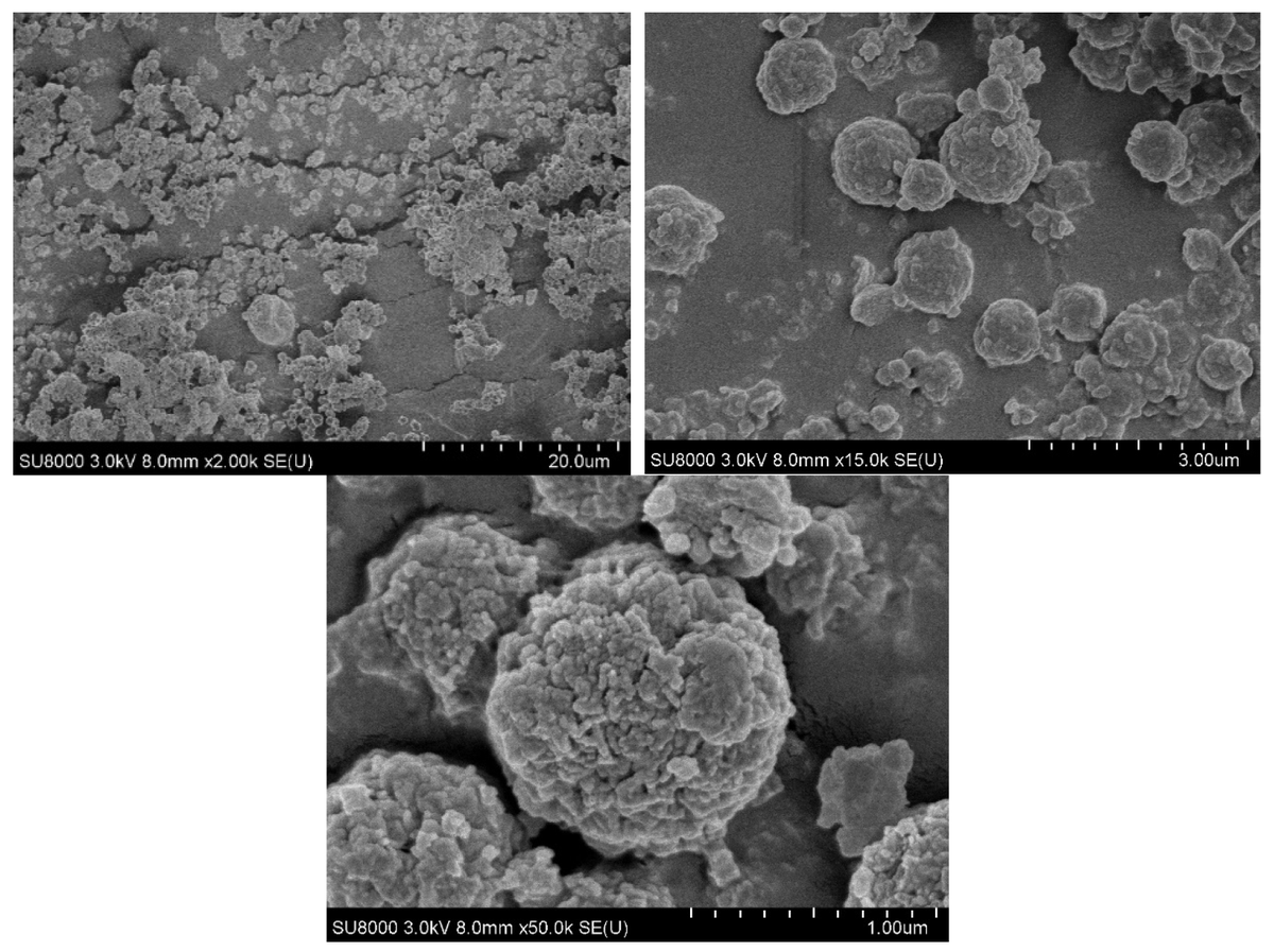 JFB_MDPI's tweet photo. π Read our Hot Paper published "Development of a Nanoparticle System for Controlled Release in Bioprinted Respiratory Scaffolds" by Ms. Amanda Zimmerling et al.
π ππ’π§π€: https://t.co/birMyASUdc
#Bioprinting #3DBioprinting #TissueEngineering #RegenerativeMedicine https://t.co/UkTyZLx6G2