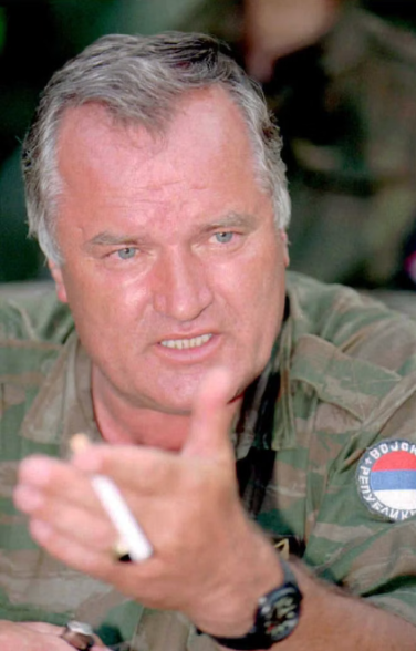 biljanicaaa's tweet photo. Vučić je danas izjavio da Sratko Mladić stiže danas u Srbiju i da će država obezbediti državnu sahranu.
Bude li se ovo desilo možemo da se samoubijemo kao društvo. Da li mi razumemo da ćemo imati državnu sahranu najvećeg zločinca na Balkanu posle Drugog svetskog rata? Ima li nekoga da organizuje protest protiv ovoga? Da li smo normalni?!