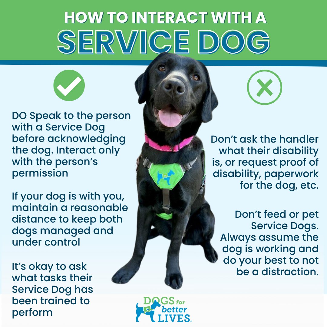 dogsbetterlives's tweet photo. 🐾 It’s #NationalServiceDogMonth! When a Service Dog is out in public, they’re working. Always speak to the handler first, don’t pet or feed the dog without permission, and give the team space. 💚
Help us spread awareness!
#DogsForBetterLives #ServiceDogs #DogsWithAPawpose https://t.co/bFWWDTuII6
